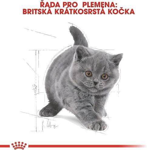 Royal Canin British Shorthair Kitten 2 kg