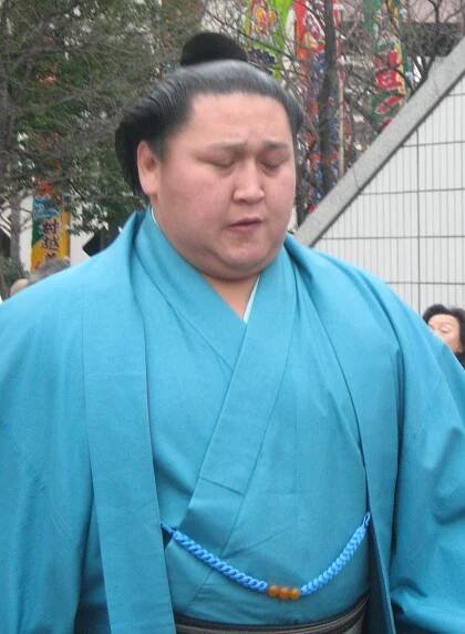 2014 in sumo - Wikipedia