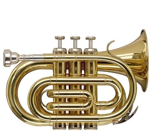 Stagg WS-TR245S, B trubka kapesní
