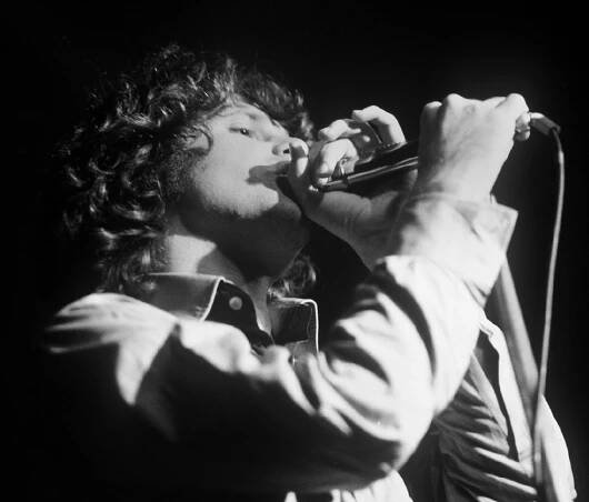 The Doors: Die letzten Tage im Leben von Jim Morrison