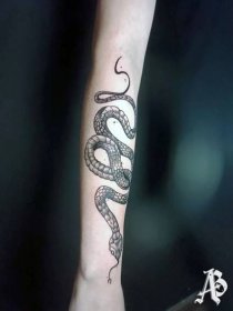 Had na ruce | tetování na míru  (kliknutím přejdete na další položku galerie)