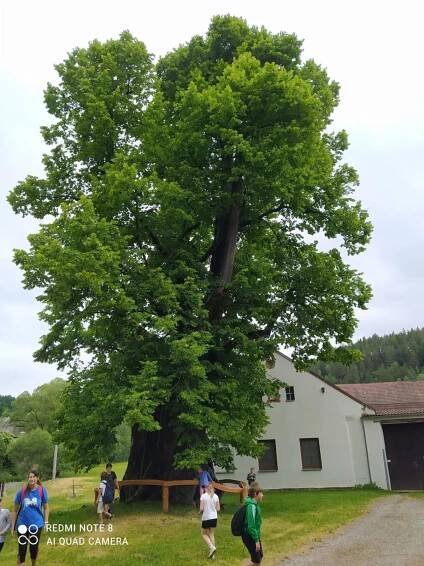 Základní škola Strakonice, Dukelská 166 | Sudslavická stezka 3.A