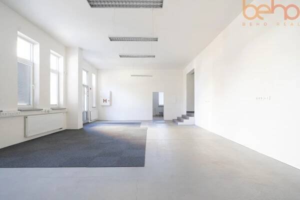 Pronájem budovy (komerčních prostor), Brno  Žabovřesky, ulice Luční, CP 286,4 m2, obrázek č.4