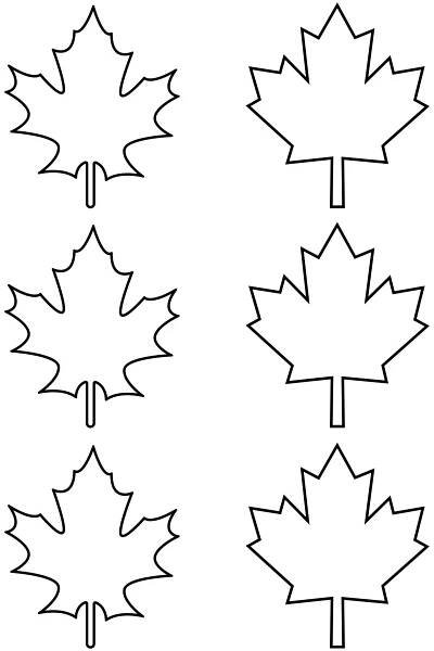 Canadian Maple Leaf Template | Maple leaf template, Leaf template, Leaf coloring page