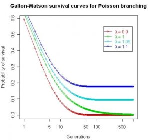 Galton-Watsonův proces - wiki34.com