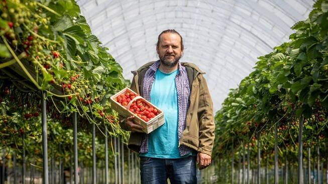 Ještě před třiceti lety tu stávala jen stará stodola a pár záhonů. Teď má Milan Hanč ve Vraňanech farmu, kam jezdí nejen lidé z Prahy a okolí pro jahody a další ovoce a zeleninu.