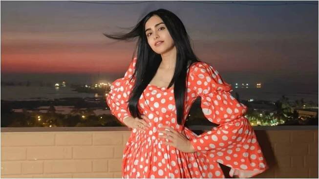 Adah Sharma speaks out against Supreme Court’s stray dog removal order; says, ‘It’s their country as much as it is ours’