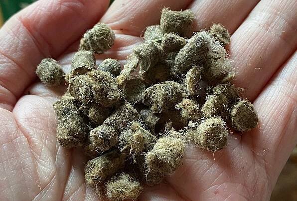 A Gift for the Garden: Wool Pellets