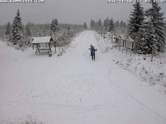 Bild40945