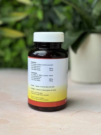 Ginkgo Biloba Capsules (60)- A perfect brain tonic for you