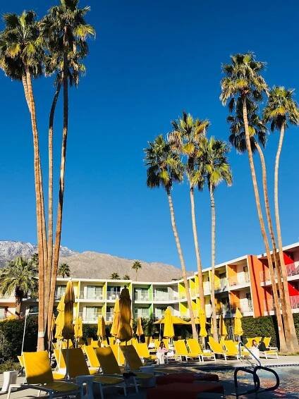The Saguaro Palm Springs Bicycle Rental: Pictures & Reviews - Tripadvisor