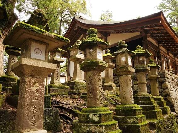 Moss Covered Shrines At Kasuga-Taisha