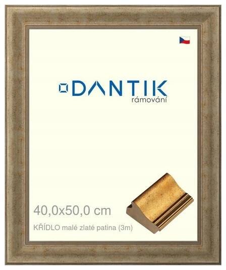 DANTIK rámeček na obraz 40x50 | KŘÍDLO malé zlaté patina (Sklo Čiré)