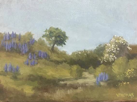Lupine