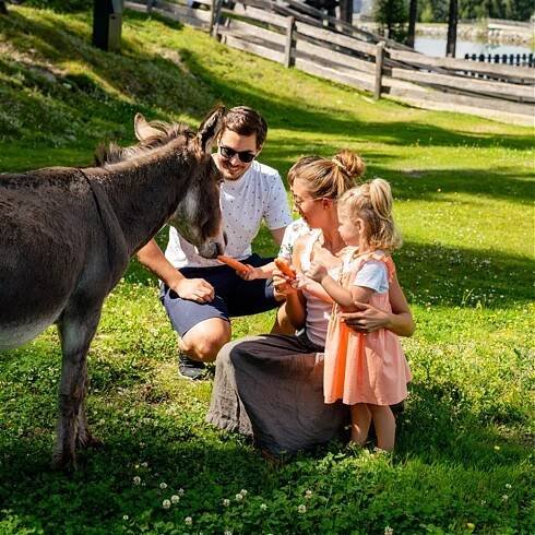 ALMWELT AUSTRIA HOTEL PICHL AN DER ENNS - Rakousko - Štýrsko - Schladming Dachstein | Superzajezdy.cz