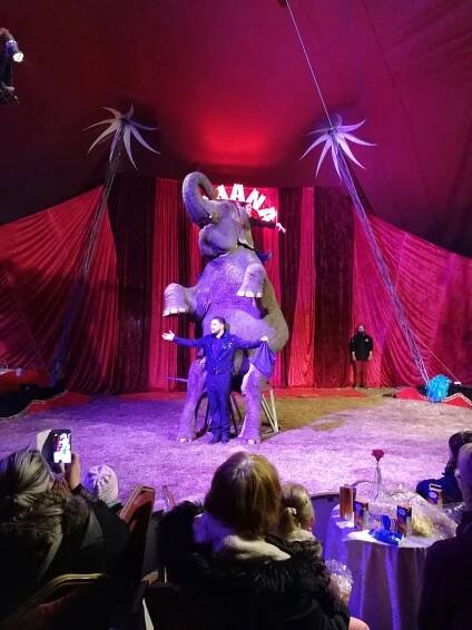 Cirkus Ohana 30 - GALERIE: Jaké je být klaunem? (30/30)