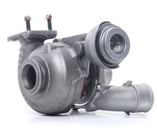 RIDEX REMAN 2234C10626R Turbodmychadlo