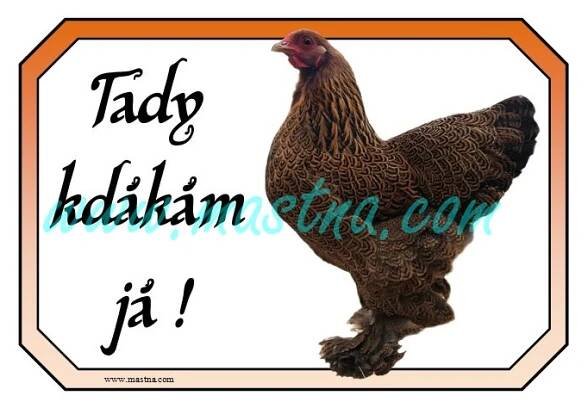 Brahmánka slepice, cedulka drůbež kdákám