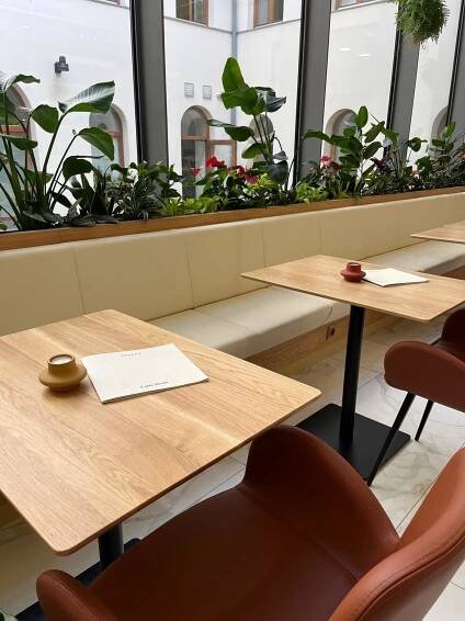 Interiérové rostliny v Piazza Caffé v pasáži Omega v Brně.