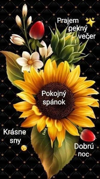 a sunflower with the names of its parts on it's back ground, in front of a black background