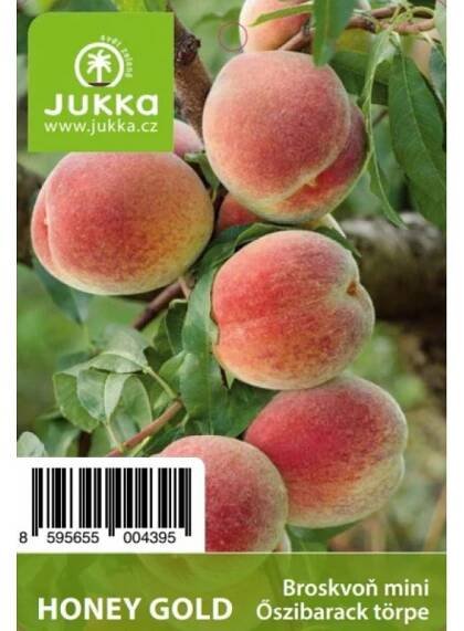 Broskvoň zakrslá mini HONEY GOLD - kontejner | Jukka.cz