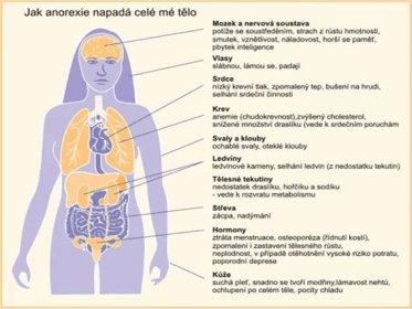Anorexie a/nebo bulimie : Hubnu,protože nechci zemřít | : Svet-Stranek.cz : osobní stránky zdarma snadno a rychle