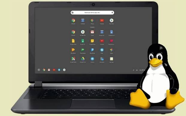 Chrome OS, Linux apps, Chromebook, Crostini