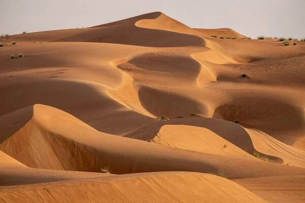  Struktury pouště Wahiba Sands