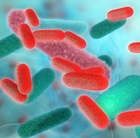  Legionnaires' disease is a lung infection caused by Legionella bacteria