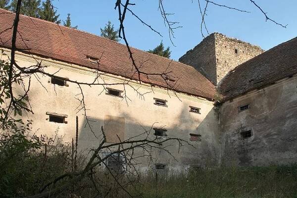 Buzice