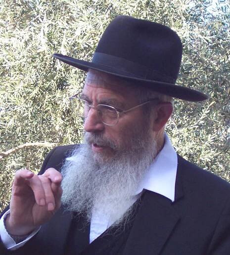 Jisra'el Ari'el