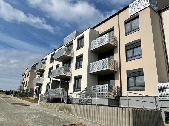 Stromy pro Brno – Střelice u Brna | Ad group srdcem | nadační fond 