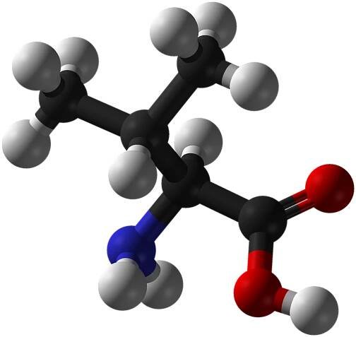Súbor:L-valine-3D-balls.png – Wikipédia