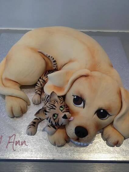 a cake with a dog and cat on it