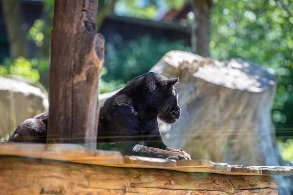 Námořnický rodinný den s VLM v ZOO Zlín, 11. června 2022 ve Zlíně.