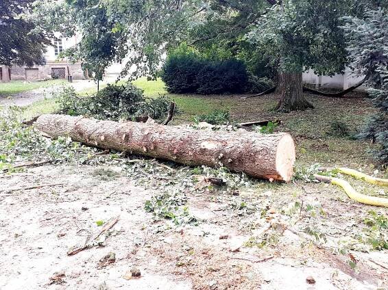 VIDEO: Bouře se ve čtvrtek prohnala Luhačovicemi, místní mluví o tornádu