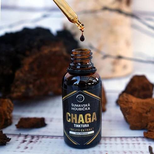Chaga tinktura Šumavská houbička – Jaké účinky má chaga v tekutém extraktu