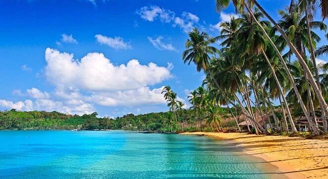 Beautiful Beach Scene