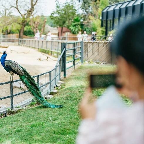 Barcelona: 1-Day Ticket to Barcelona Zoo | GetYourGuide