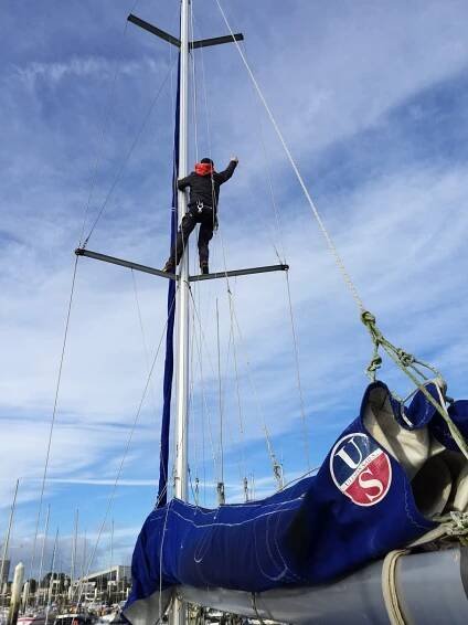 Not me up there!! – Sea Life