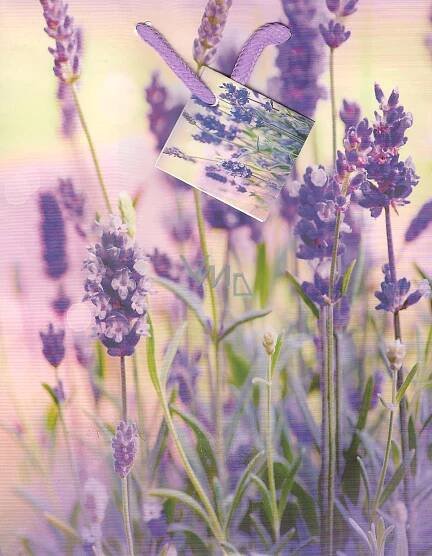 Nekupto Gift paper bag 23 x 18 x 10 cm Lavender 1122 40 KFM - VMD parfumerie - drogerie