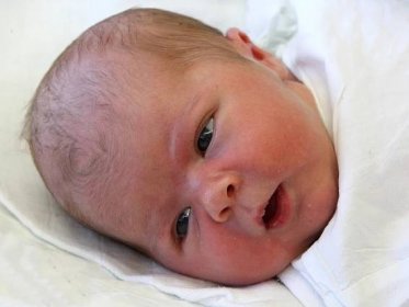 Nově narozená miminka na Slovácku - 7. týden 2015