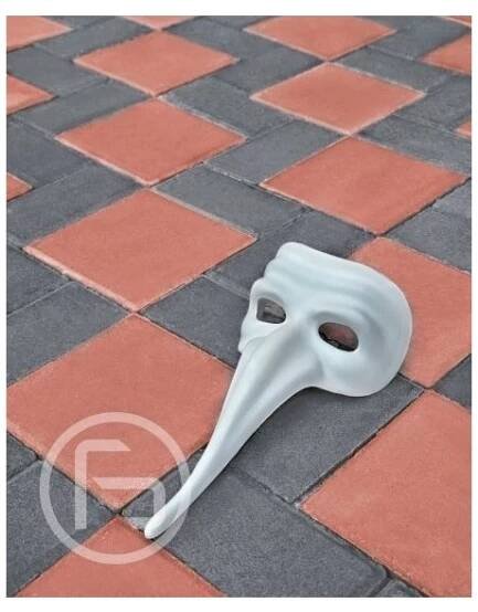 Zámková dlažba parketa 20x10cm tl.6cm - barevná - Zámková dlažba Ferobet