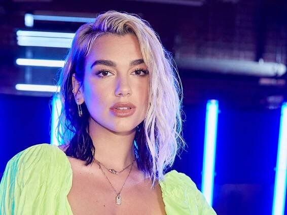 Dua Lipa's Dark Brown Hair Is Back 