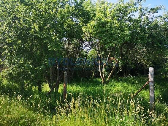 Prodej stavebního pozemku 1332 m2 Neplachov, okres České Budějovice
