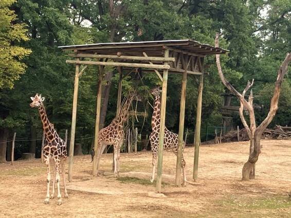 Zájezd ZOO Zlín - Oficiální stránky obce Studnice