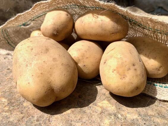 Patate della Valsessera - Az. Agricola Asei Dantoni