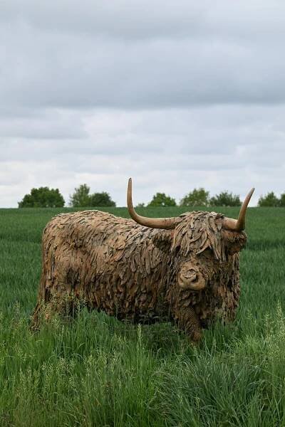 Highland Cow Life Size – 2025