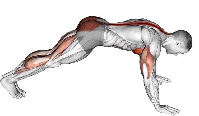 cobra push up starting position
