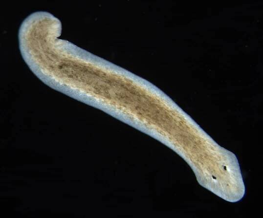 A revolution in biology